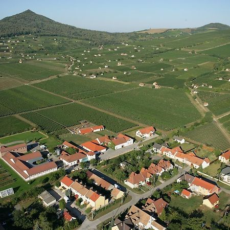 מלון Villány Tiffan'S Pinceszet Es Panzio חדר תמונה