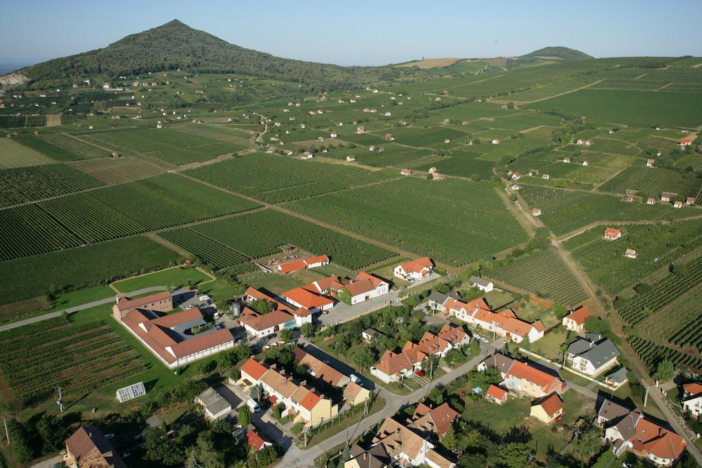 מלון Villány Tiffan'S Pinceszet Es Panzio חדר תמונה